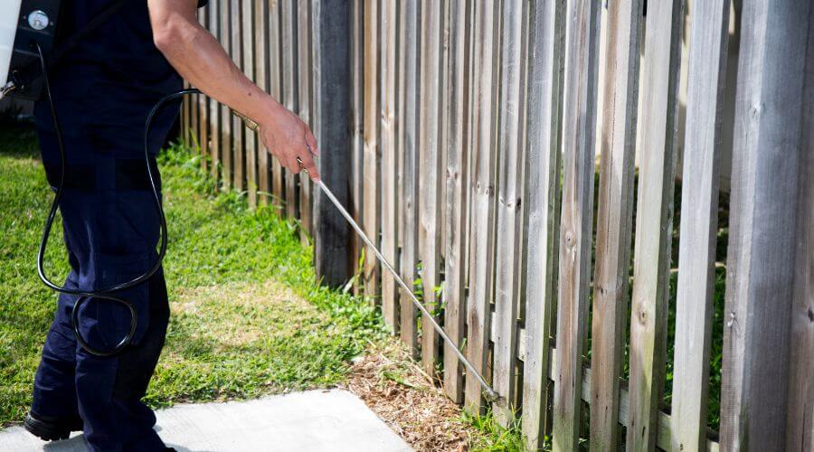 Why choose Bat Exclusion Minnetonka for bat exclusion in Minnetonka